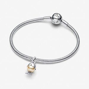 Pandora Easter Egg Dangle Charm